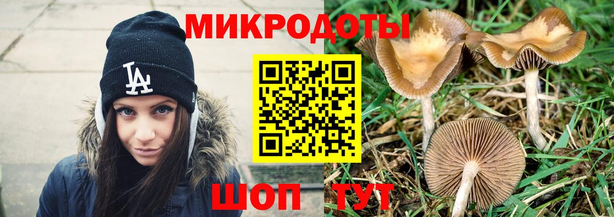 Псилоцибиновые грибы MAGIC MUSHROOMS  Вход с VPN  Амурск 