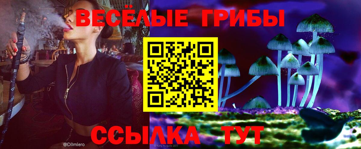 Галлюциногенные грибы ЛСД Амурск